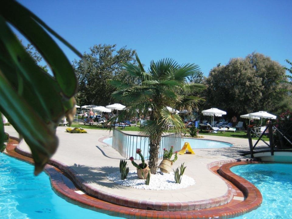 Poolanlage mit Liegewiesen Hotel Calypso Beach