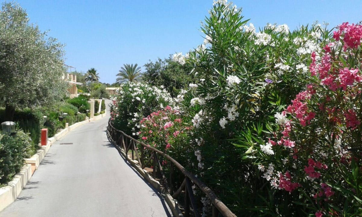 Atemberaubende Bepflanzug Hapimag Resort Cefalù