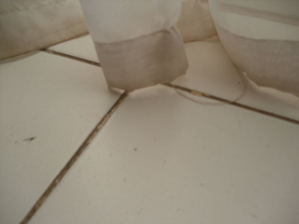 Dreckige Gardinen Desert Rose