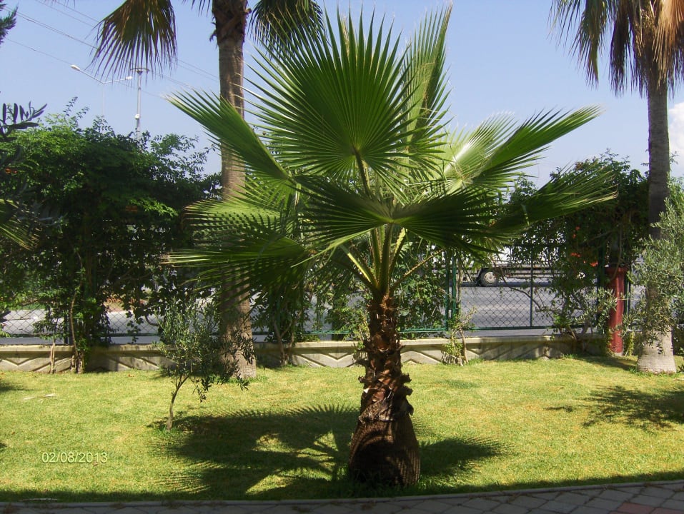 Aus dem Zimmer auf die Strasse Hotel Orfeus Park