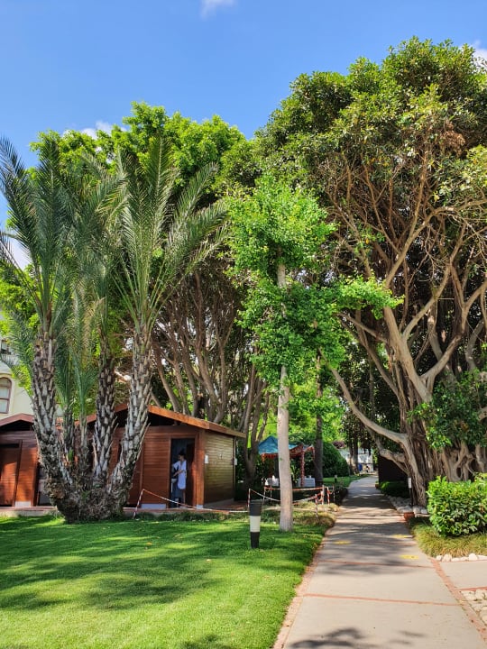 Gartenanlage Side Star Elegance