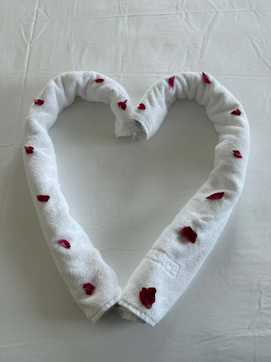 Zimmer Haydarpasha Palace