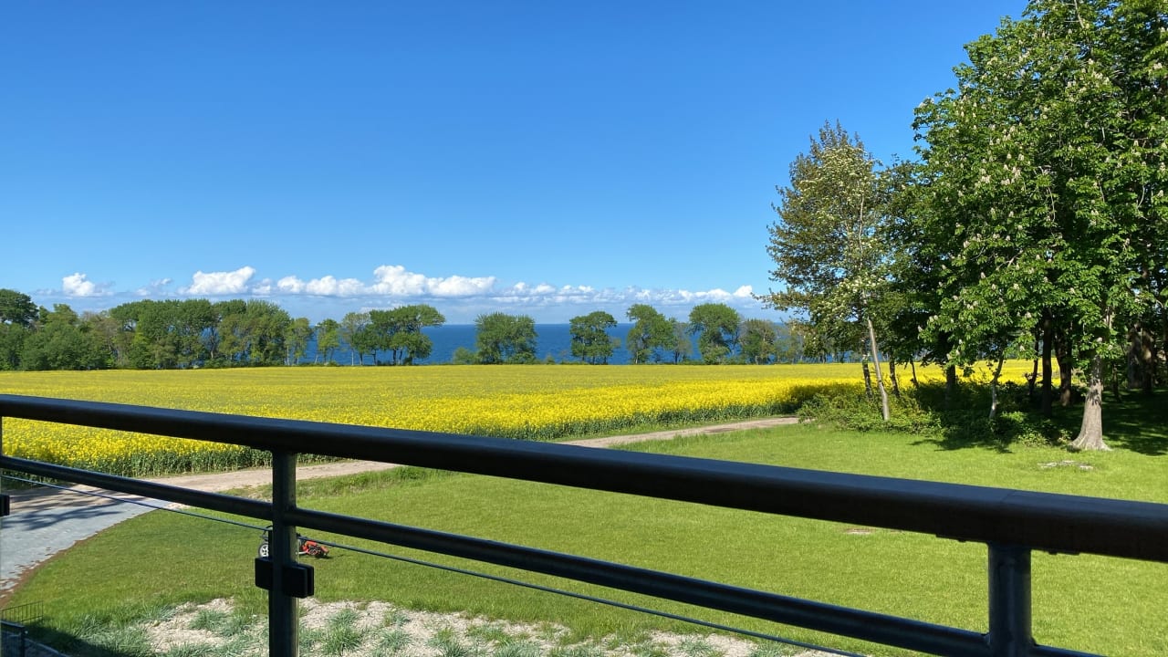 Ausblick Ferienbauernhof Liesenberg mit Meerblick