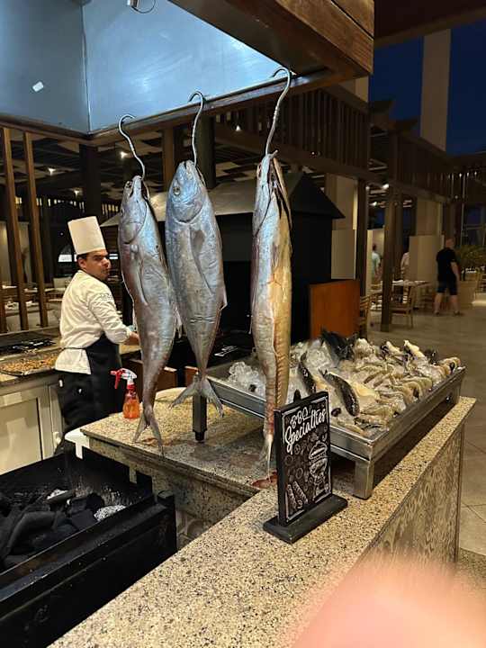 Lobby JAZ Elite Casa del Mar Beach