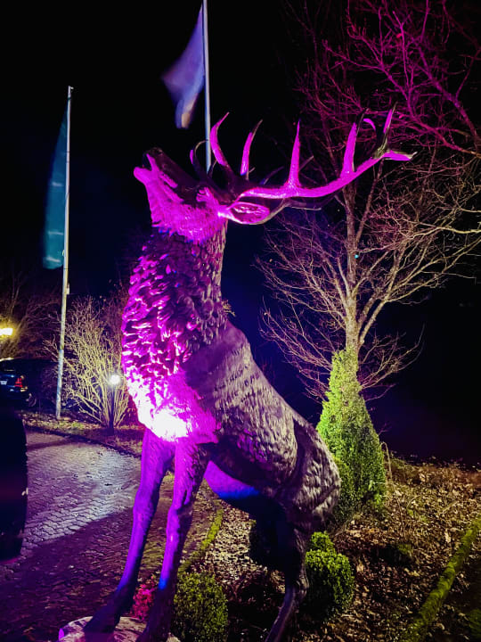 Sonstiges Relais Chateaux Jagdhof Glashütte