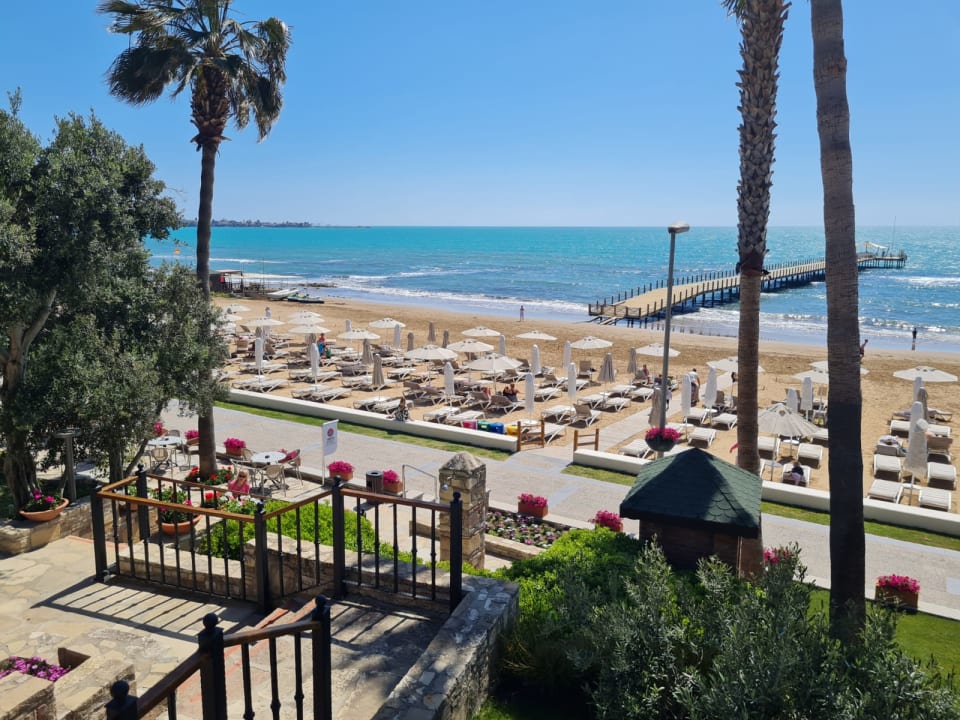 Ausblick Arum Barut Collection