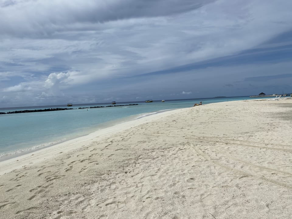 Strand Summer Island Maldives