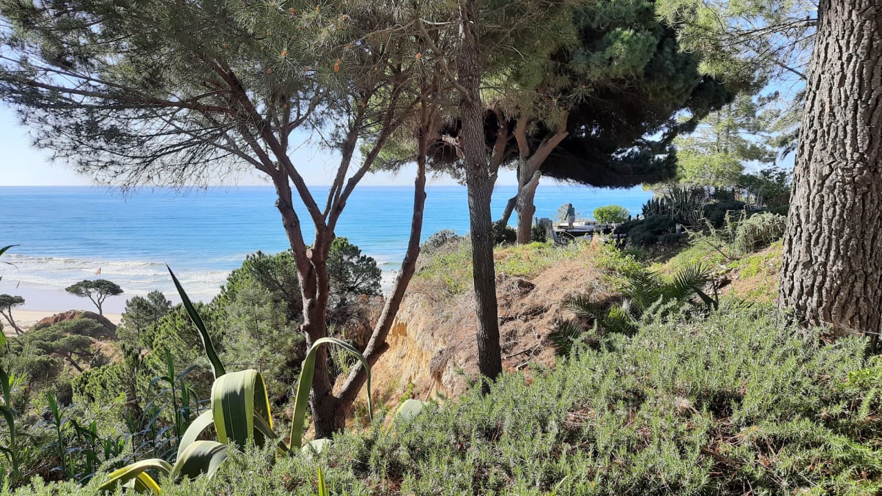 Gartenanlage PortoBay Falésia