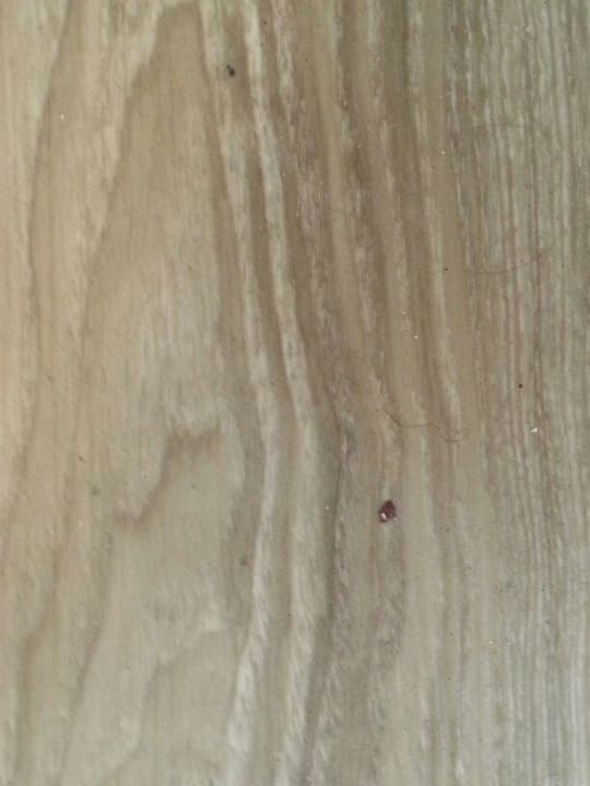 Und wieder Haare Side Alegria Hotel & Spa - Adults only +16