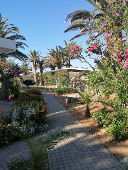 Gartenanlage Civitel Creta Beach