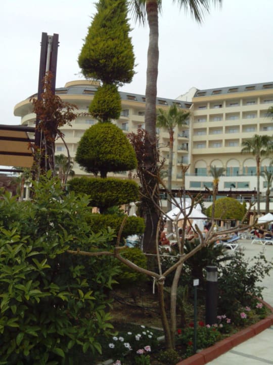 Sehr schön Saphir Resort & Spa