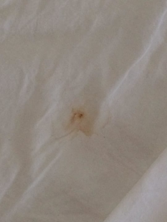 Blutflecken im Bett Villa Chez Batista