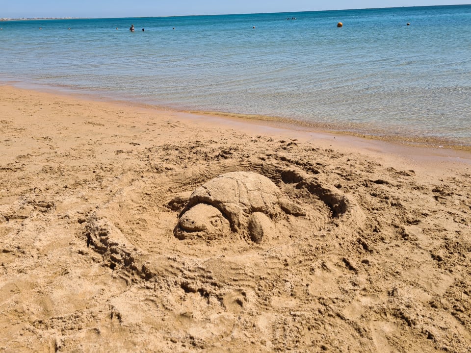 Strand Sentido Caribbean World Soma Bay