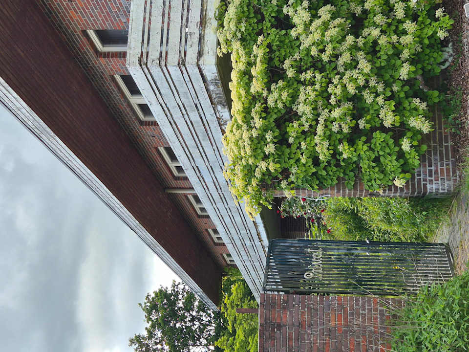 Zimmer Landhaus Renken am See