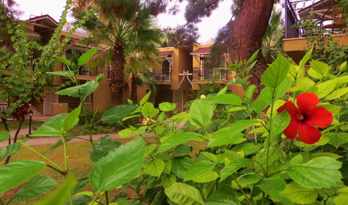 Das Hottel von der garten aus gesehen Pirate's Beach Club