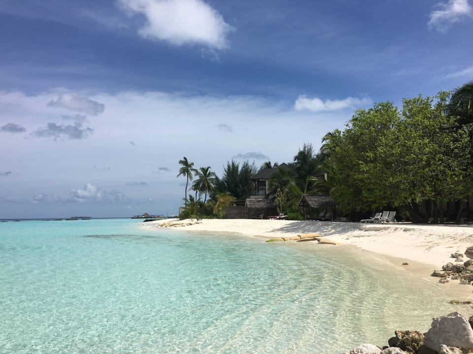 Strand Summer Island Maldives