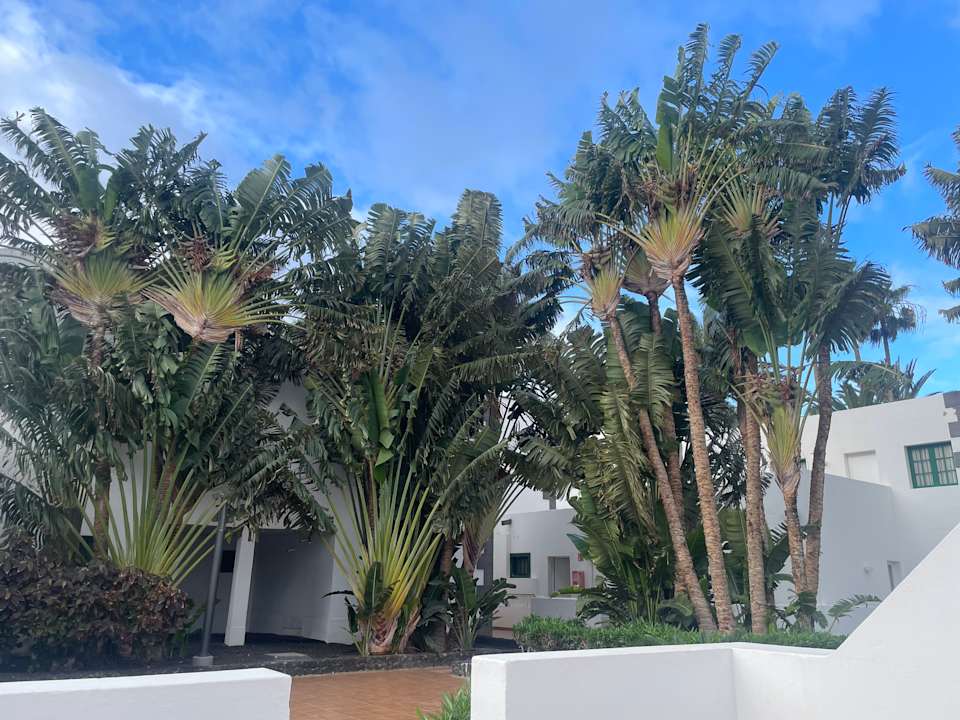 Gartenanlage Hotel Riu Paraiso Lanzarote