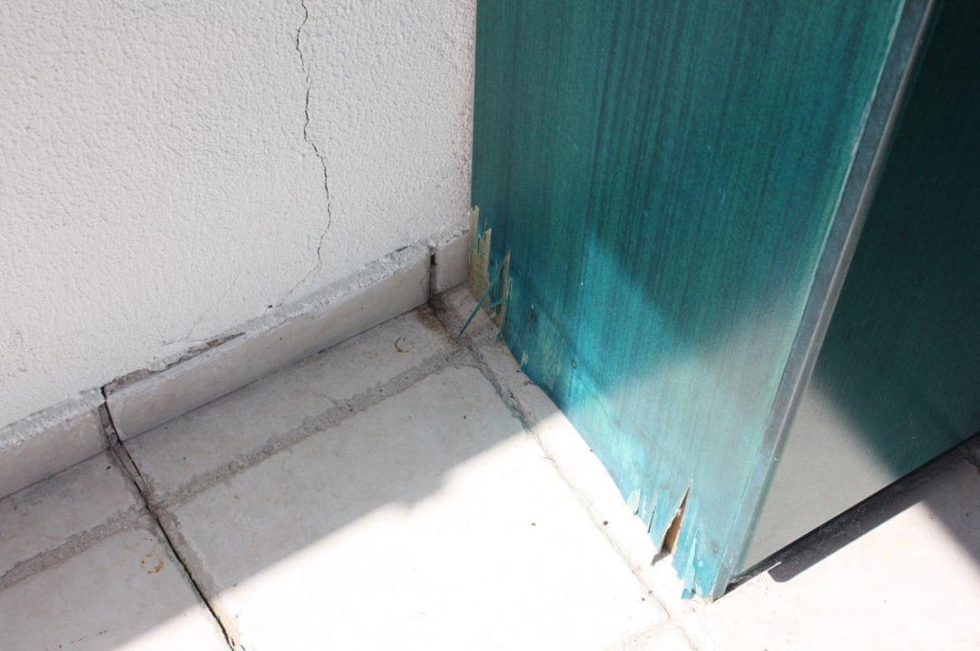 Zimmer Nautilus Barbati