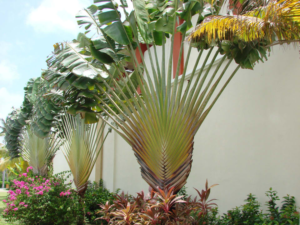 Garten Secrets Royal Beach Punta Cana - Adults only