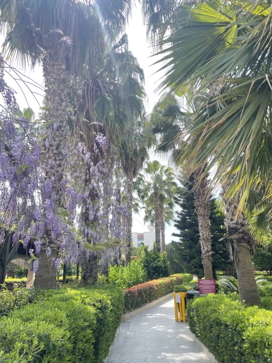 Gartenanlage Hane Family Resort