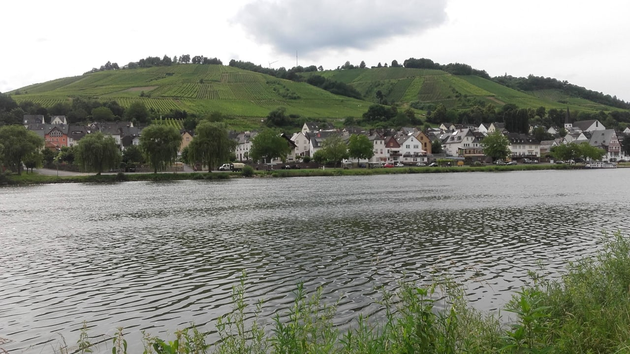Blick auf die Mosel Hotel Weinhaus Moselblick