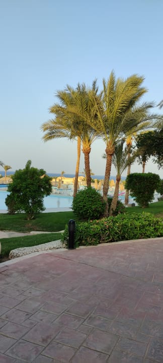 Ausblick Serenity Alpha Beach