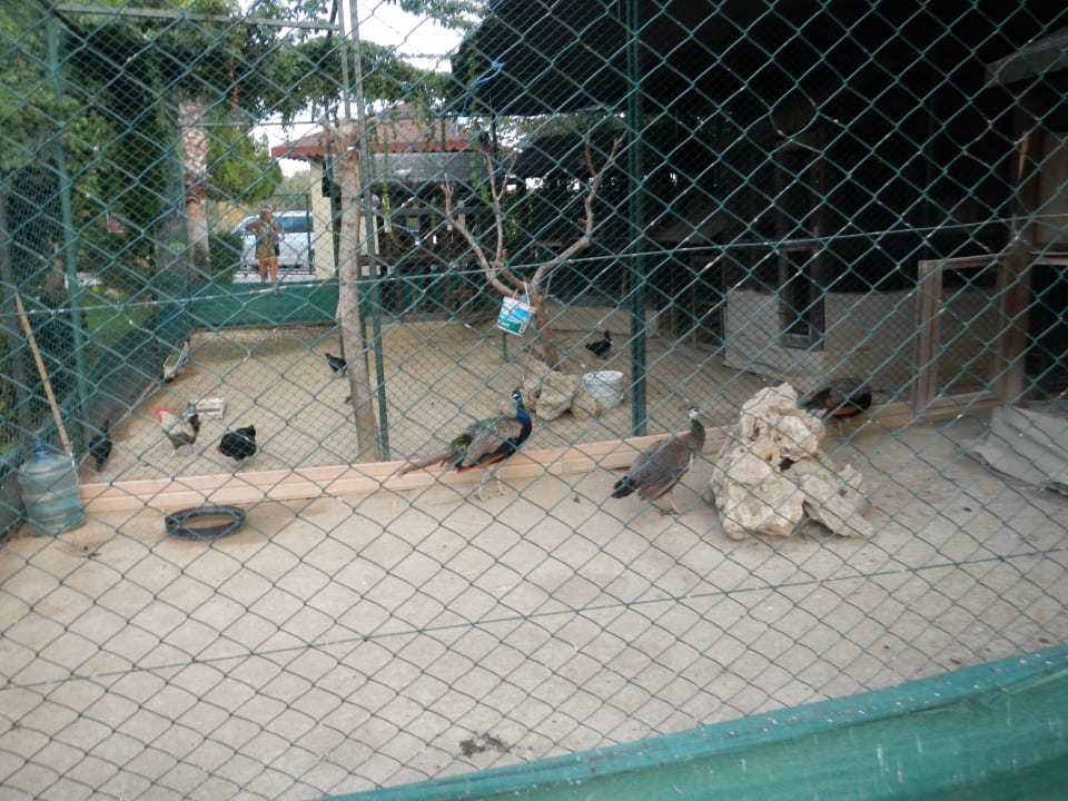 Живой уголок Marvida Family Eco