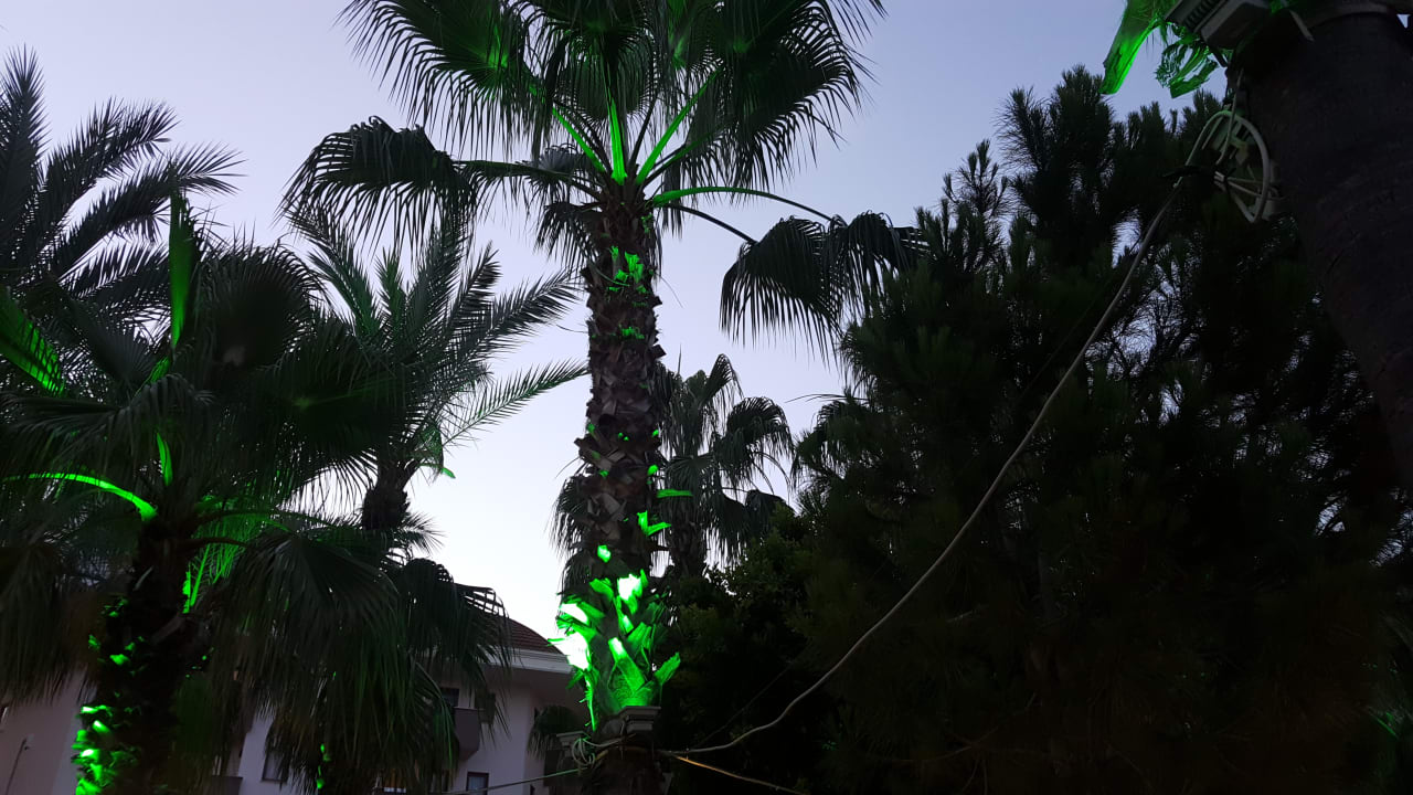 Gartenanlage Hane Family Resort