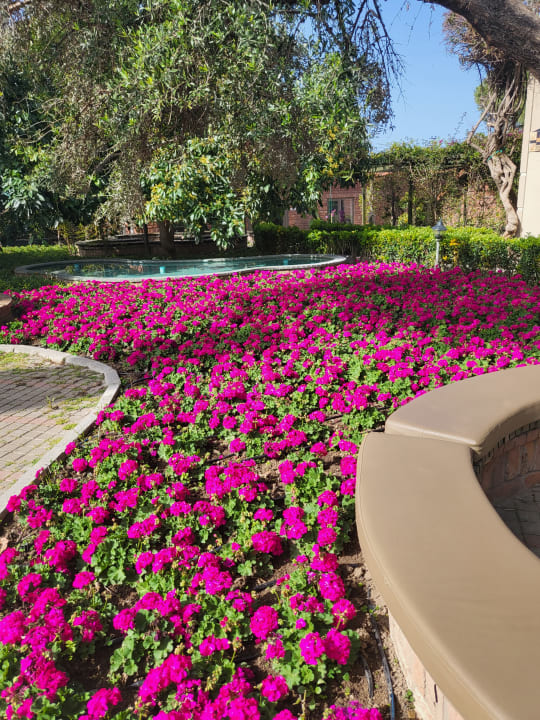 Gartenanlage Can Garden Beach