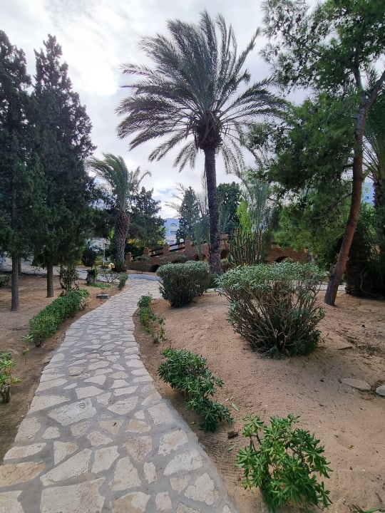 Gartenanlage Marhaba Royal Salem