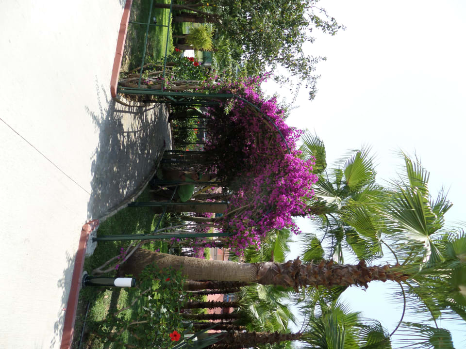 Blumen Hotel Miramare Beach