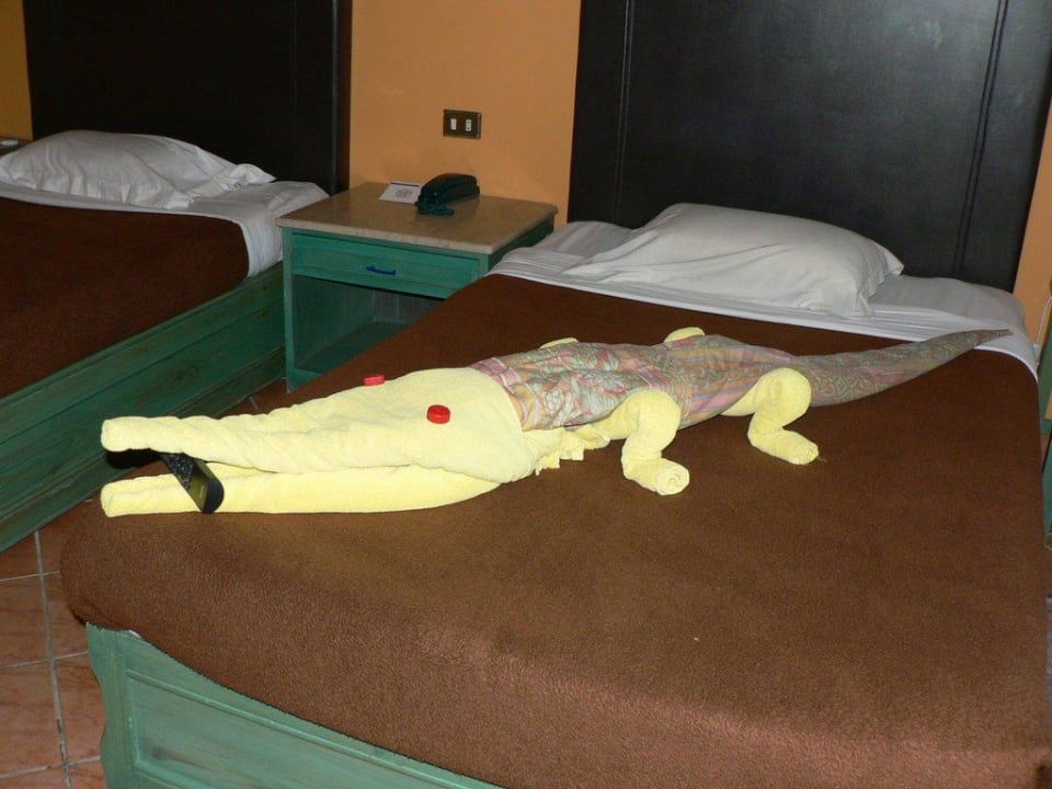 Handtuchraubtier Arabia Azur Resort