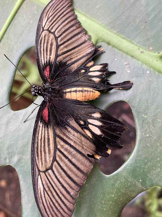 Sonstiges Hotel Zur Heidschnucke
