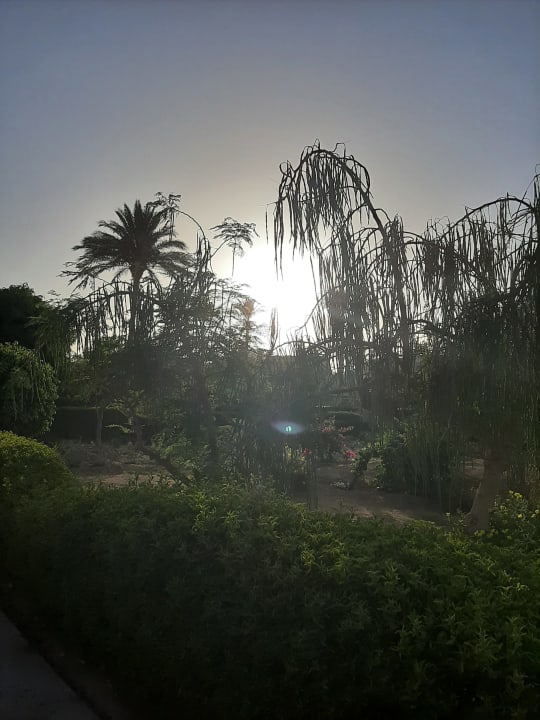 Gartenanlage Cleopatra Luxury Resort Makadi Bay