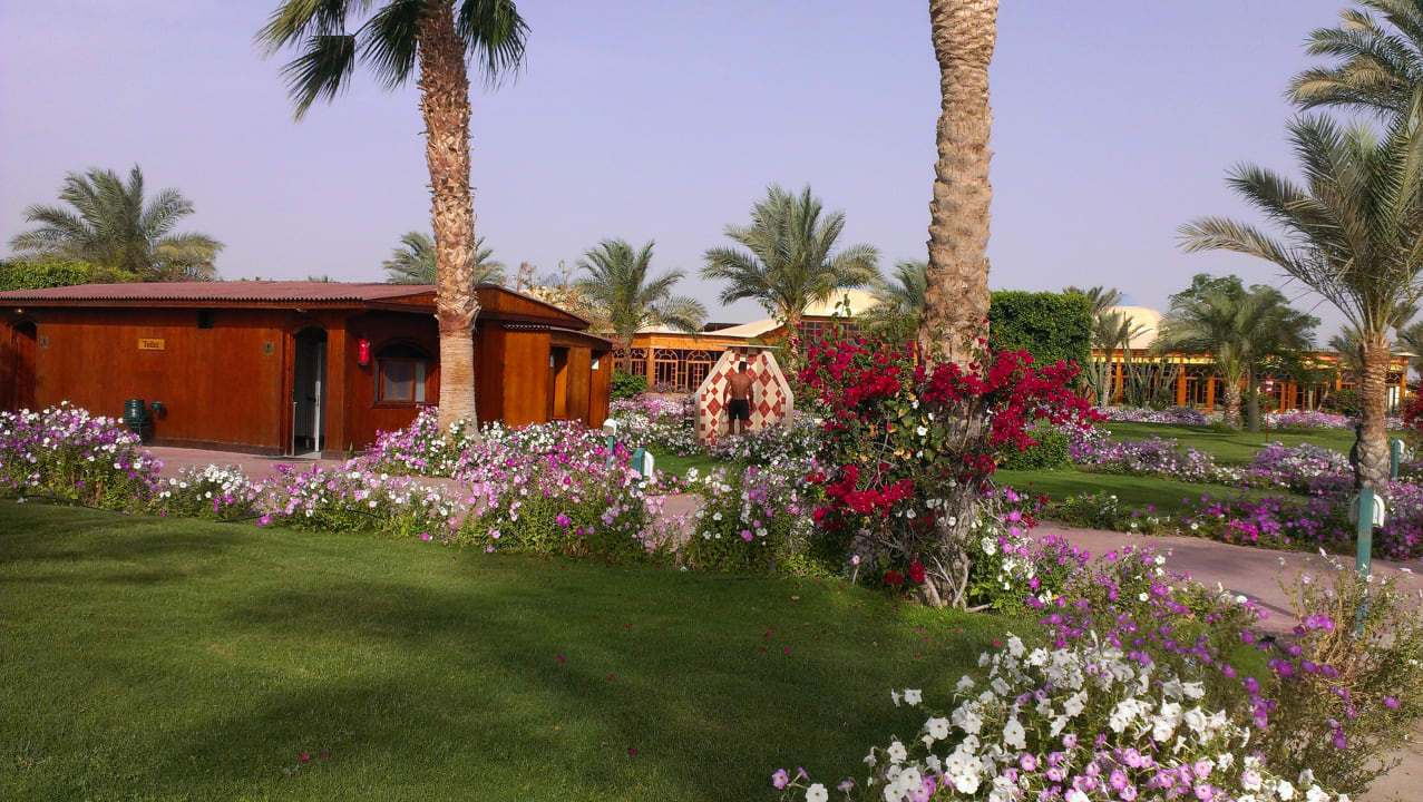 Gartenanlage Desert Rose