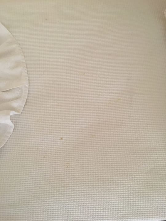 Zimmer Hotel Catty Cats Garden