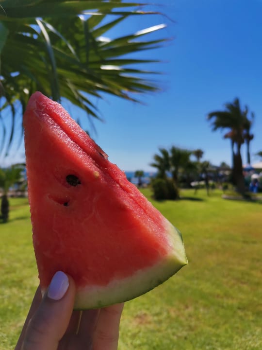 Gartenanlage Rodos Palladium Leisure & Wellness