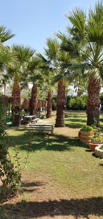 Gartenanlage Hane Family Resort
