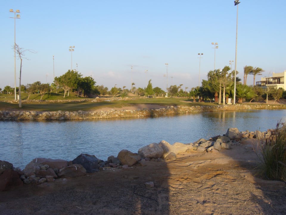 Gartenanlage Steigenberger ALDAU Beach Hotel