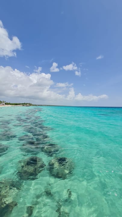 Strand Iberostar Selection Hacienda Dominicus