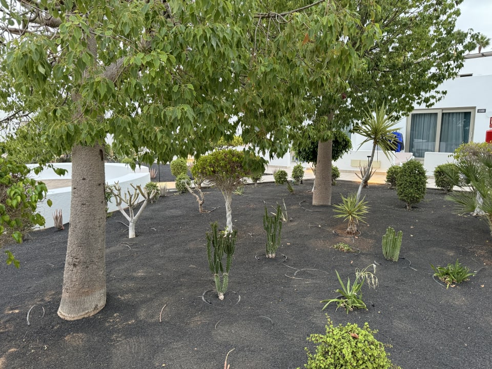 Gartenanlage Hotel Las Costas