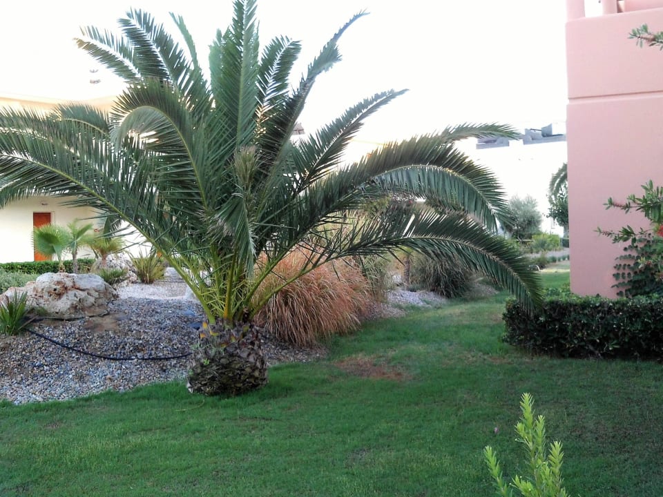 Wunderschön angelegt Kipriotis Village Resort