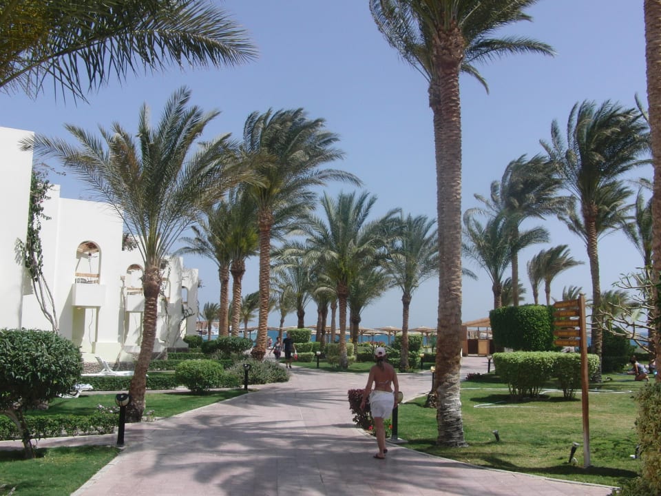 Weg von Pool zum Strand Palm Beach Resort