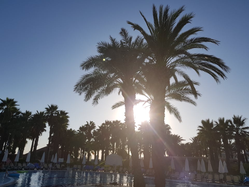 Gartenanlage Monachus Family Resort Sorgun