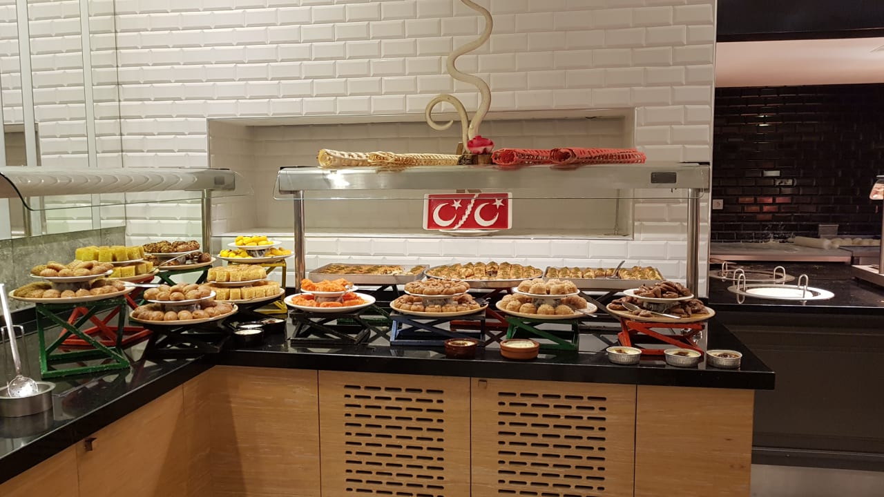 Gastro Seashell Vega