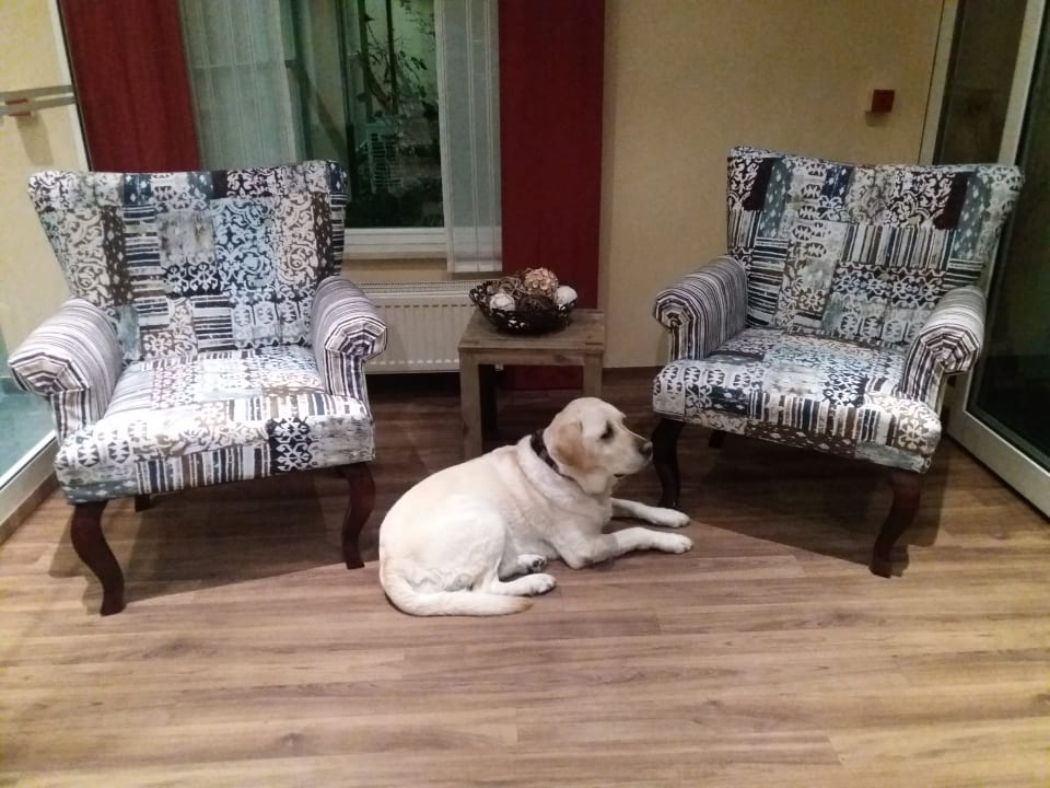 Sunny in der Lobby Hotel Herzog Heinrich