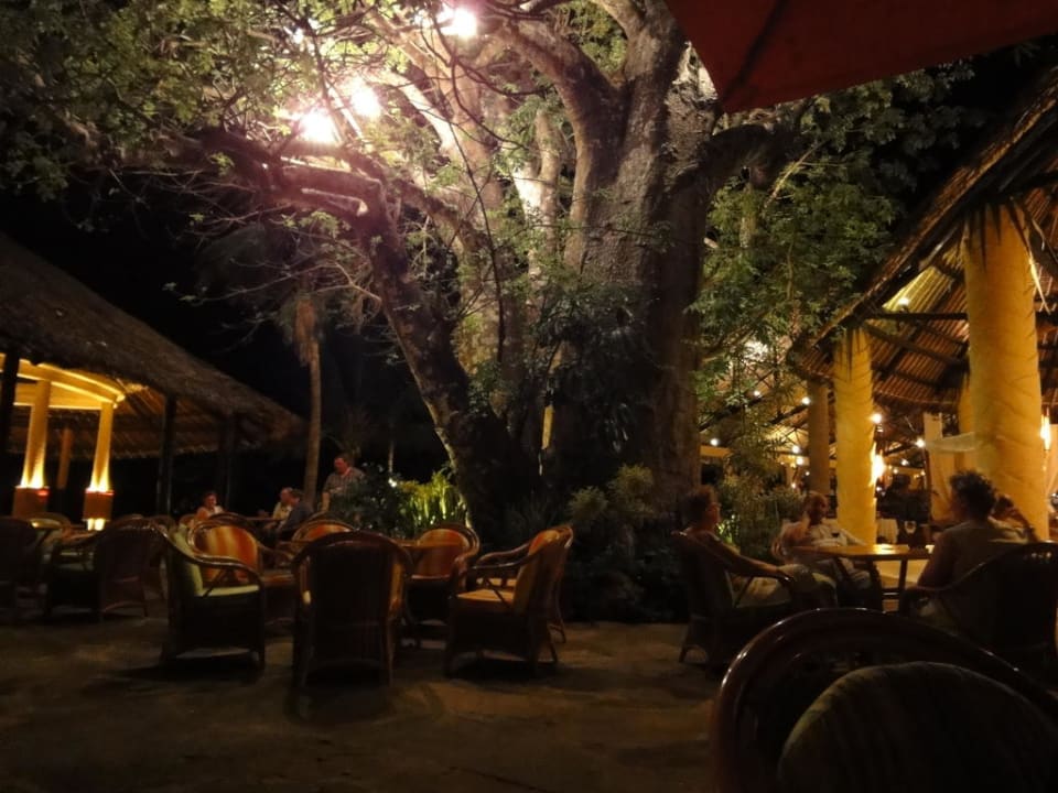 The Baobab Baum an der Tapa Tapa Bar Baobab Beach Resort & Spa