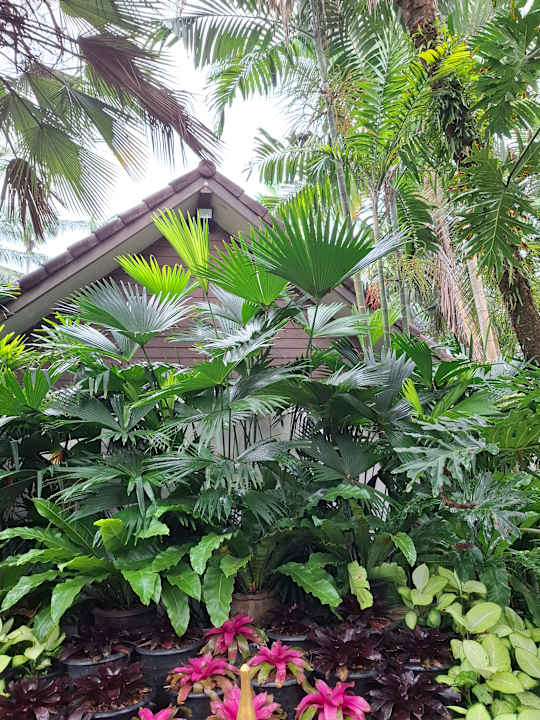 Lobby Laluna Hotel & Resort