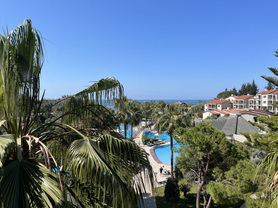 Ausblick Arum Barut Collection