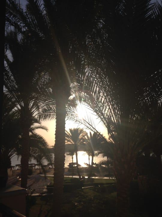 Sonstiges Steigenberger Coraya Beach - Adults only